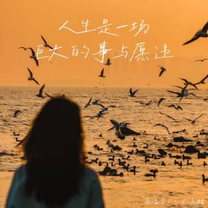 Album 人生是一场巨大的事与愿违 from 南温言