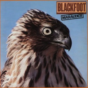 ดาวน์โหลดและฟังเพลง Searchin' (LP版) พร้อมเนื้อเพลงจาก Blackfoot