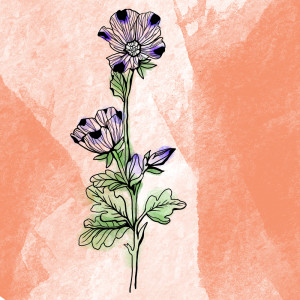 Listen to Paced song with lyrics from Early Garden
