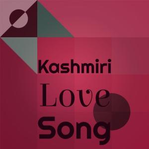 Listen to Kashmiri Love Song song with lyrics from Jan Garber Orchestra