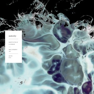 Malandra Jr.的专辑North Pole Flower - EP
