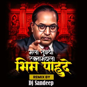 Album Mala Tuzya Raktamadhla Bhim Pahude (Dj Sandeep) oleh Dhamma Dhanve
