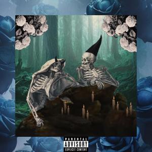 Listen to MyWishingWell (Explicit) song with lyrics from Gnomo