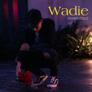 Listen to WADIE (Explicit) song with lyrics from DANNYCOLD