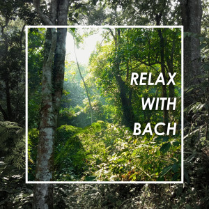ดาวน์โหลดและฟังเพลง J.S. Bach: Prelude and Fugue in G Minor (WTK, Book I, No. 16) , BWV 861 - I. Prelude พร้อมเนื้อเพลงจาก Pierre-Laurent Aimard