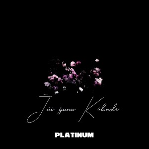 Listen to Jaı ǵana Kúlimde song with lyrics from Platinum