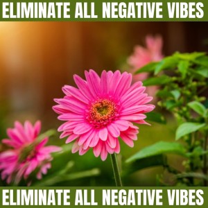 Dengarkan Satisfaced lagu dari To Meditate dengan lirik