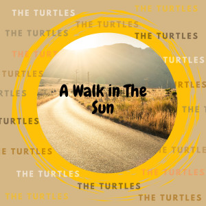 The Turtles的专辑A Walk in The Sun