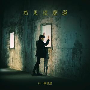 收聽畢書盡的如果沒愛過 (電視劇《如果花知道》單元主題曲)歌詞歌曲