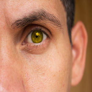 Dengarkan lagu Come Here nyanyian William Felix dengan lirik