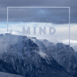 收听Natural Study Aid Consort的Mountain Hill歌词歌曲