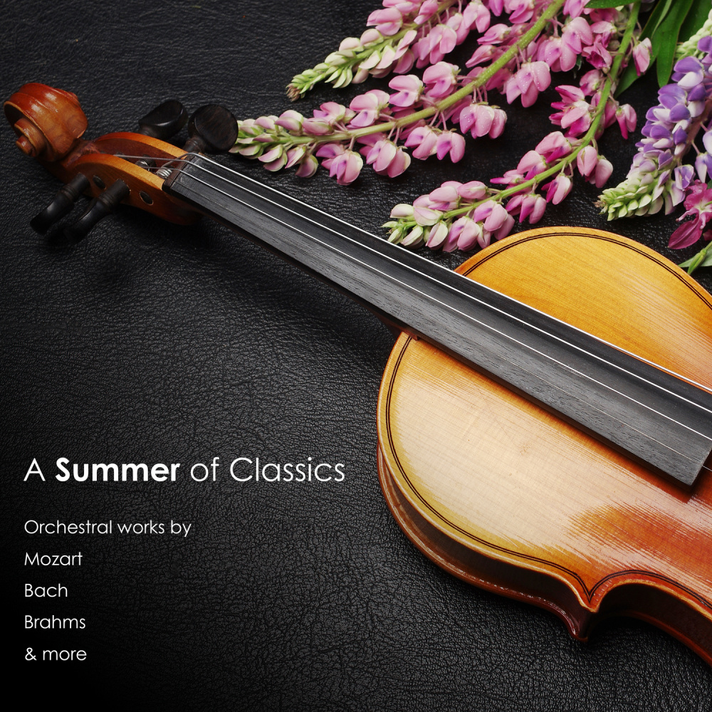 J.C. Bach: Symphony in B-Flat Major Op. 18, No. 2: III. Presto