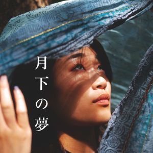 リラックスした音楽のアカデミー的專輯月下の夢 (繊細な瞬間)