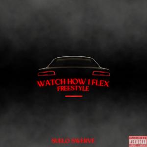 收聽Suelo Swerve的Watch How I Flex Freestyle (Explicit)歌詞歌曲