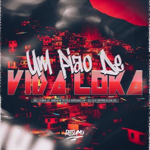 Listen to UM PIÃO DE VIDA LOKA (Explicit) song with lyrics from mc chris jc