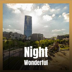 Lawan Jeth的专辑Night Wonderful