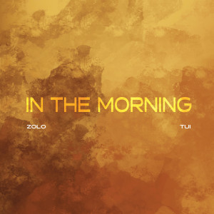 Album In the Morning (Explicit) from Zolo