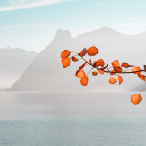 ดาวน์โหลดและฟังเพลง Sunshine In The House พร้อมเนื้อเพลงจาก Sounds of Nature Noise