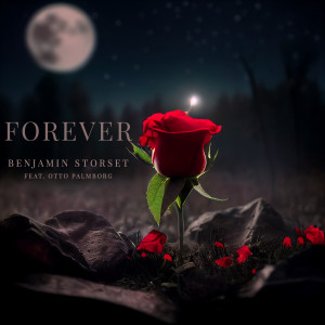 Album Forever from Benjamin Storset