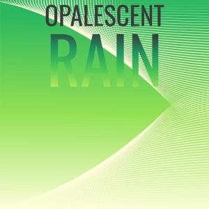 Album Opalescent Rain from Various