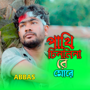 Listen to Pakhi Chinli Na Re More song with lyrics from Abbas