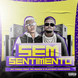 ดาวน์โหลดและฟังเพลง Sem Sentimento (feat. MC Mussá & Flavinho Pancadão) (Explicit) พร้อมเนื้อเพลงจาก Jheniffer Real