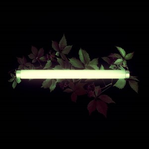 Dengarkan NightMare lagu dari 스티치 dengan lirik