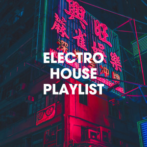 Electro House DJ的專輯Electro House Playlist