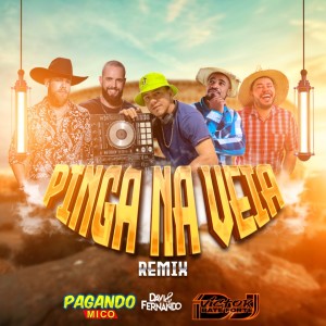 Listen to Pinga Na Veia (Remix) song with lyrics from DjVictorbateforte