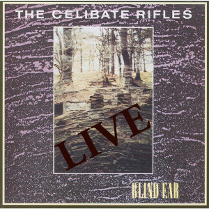 Dengarkan lagu Wonderful Life (Live) nyanyian The Celibate Rifles dengan lirik