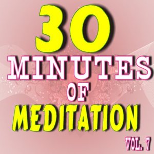 30 Minutes of Meditation, Vol. 7 (Special Edition)