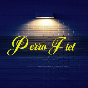 Various Artists的專輯Perro Fiel (Cover)