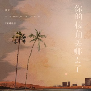 Album 你的棱角丢去哪了（DJ阿本版） oleh 任夏