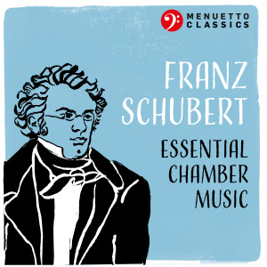 Various Artists的專輯Franz Schubert: Essential Chamber Music