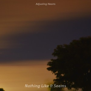 Adjusting Hearts的专辑Nothing Like It Seems