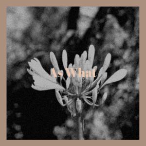 收听Amine Dhey的Riff歌词歌曲