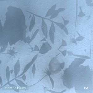 收聽Clinton N的electric blues歌詞歌曲
