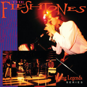 ดาวน์โหลดและฟังเพลง Hall Of Fame พร้อมเนื้อเพลงจาก The Fleshtones