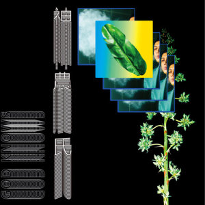Listen to Your dream song with lyrics from fish.the