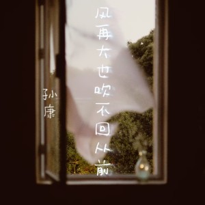 Album 风再大也吹不回从前 from 