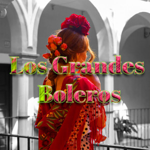 Varios Artistas的专辑Grandes Boleros