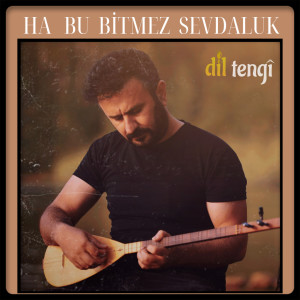 Listen to Ha Bu Bitmez Sevdaluk song with lyrics from Dil Tengi
