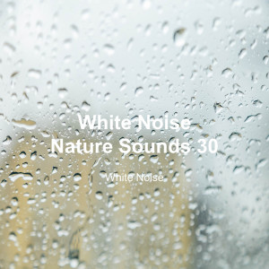 White Noise的专辑White Noise 30 (Rain Sounds, Bonfire Sound, Baby Sleep, Deep Sleep)
