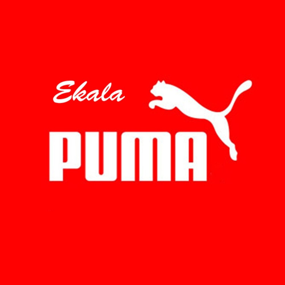 Puma (Vako Remix)