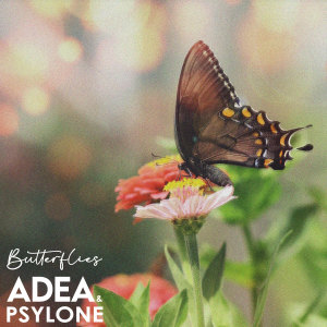 Psylone的专辑Butterflies