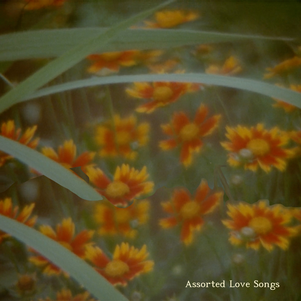 Never (feat. Asa Taccone)