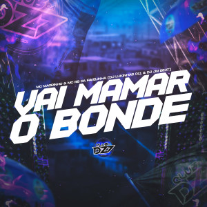 Album VAI MAMAR O BONDE (Explicit) from mc rb da favelinha