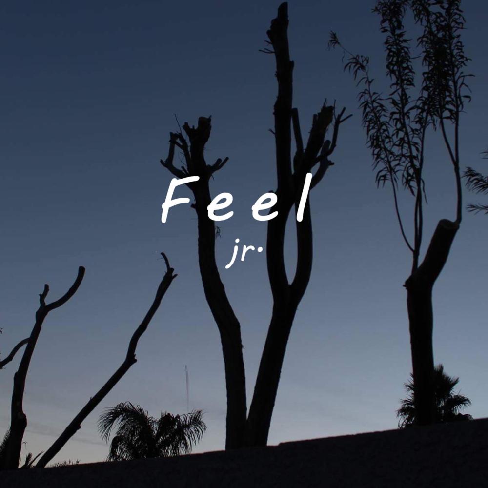 Feel (Explicit)