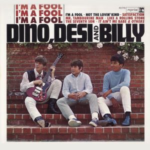 收聽Dino的I'm a Fool歌詞歌曲
