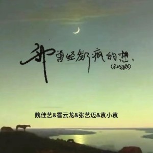 Album 我曾经发了疯的想（合唱版） from 魏佳艺